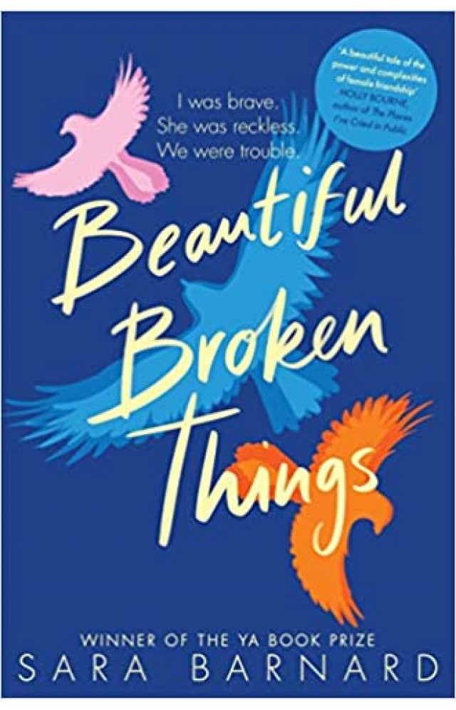 Beautiful Broken Things