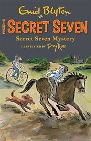 Secret Seven Mystery: The Secret Seven Series (Book 9)-citybookspk